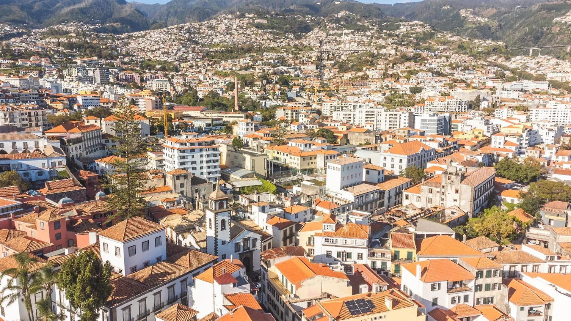 Sao Pedro Central Flat By Atlantic Holiday Funchal  Apartamento